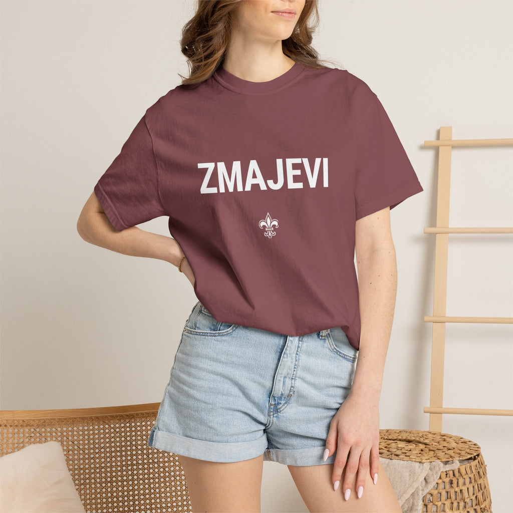 Bosnia & Herzegovina World Cup 2026 T-Shirt — Dragons Soccer Fan Tee