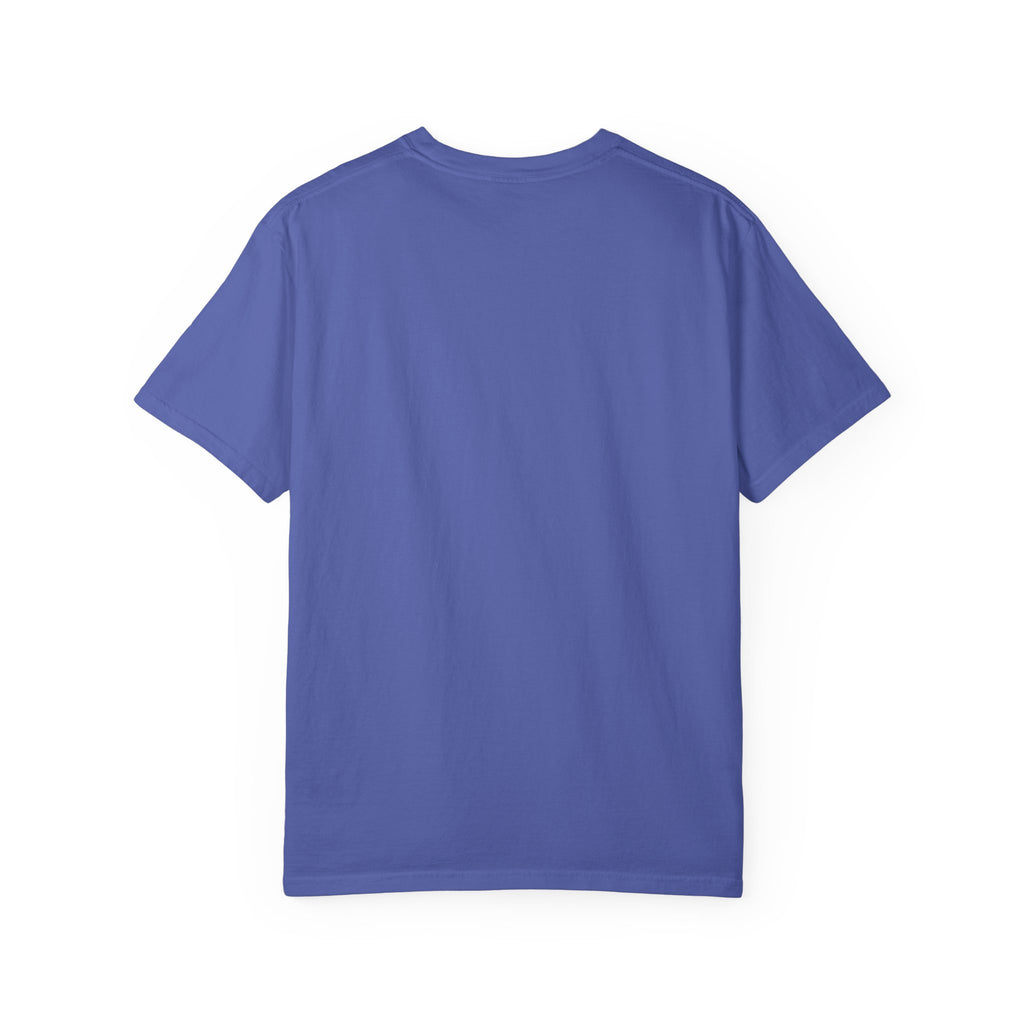 Bosnia and Herzegovina flag print