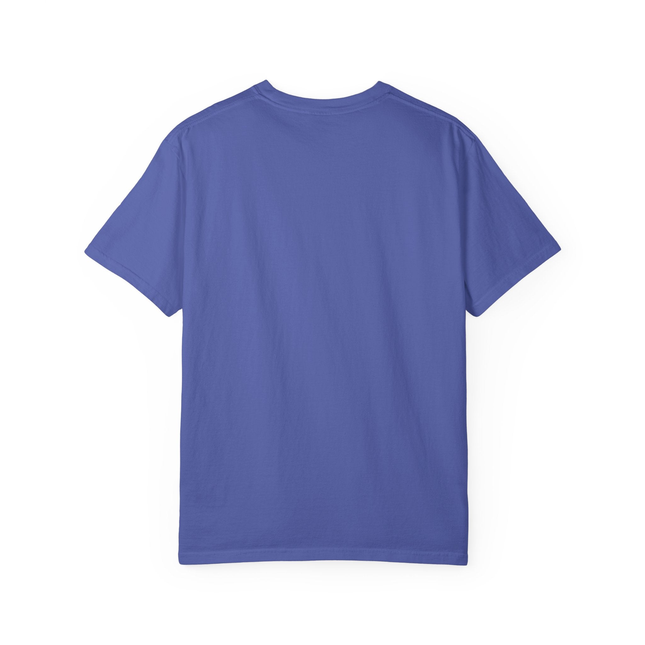 Bosnia and Herzegovina flag print